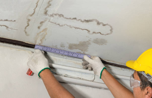 Reliable Water Damage contractor in Wendell, NC by Water Damage Irwin